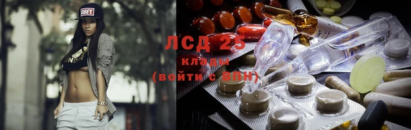 mdpv Бородино