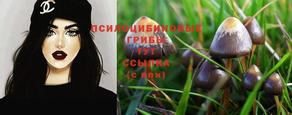 герыч Бугульма