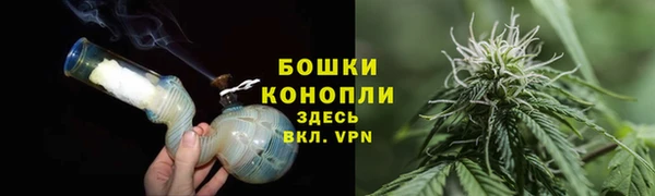 mdpv Бородино
