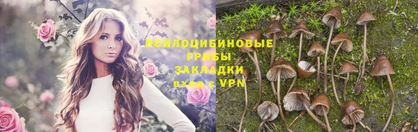 мескалин Верея