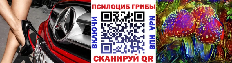MEGA tor  Орск  Псилоцибиновые грибы мицелий  купить закладку 